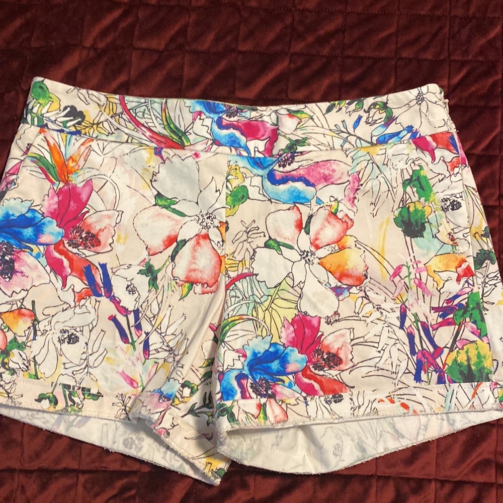 Express Shorts Bundle - image 4